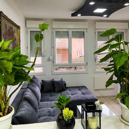Apartment Tatjana Крагуевац Экстерьер фото